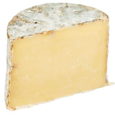 Cheddar